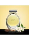 عطر بيوتي EDP للنساء 100ملليلتر